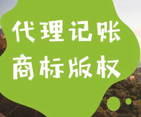 锦江区代理记账及代办服务收费标准与内容详解